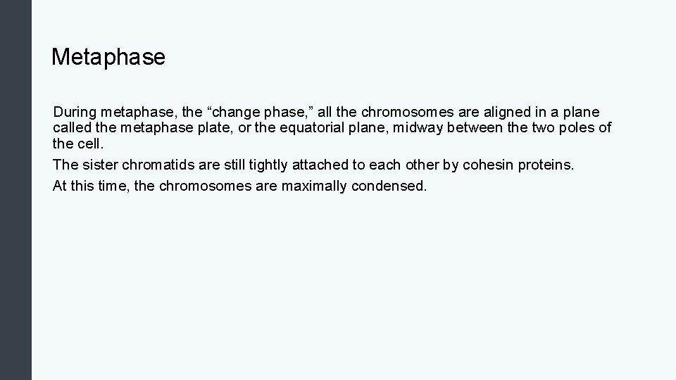Metaphase During metaphase, the “change phase, ” all the chromosomes are aligned in a