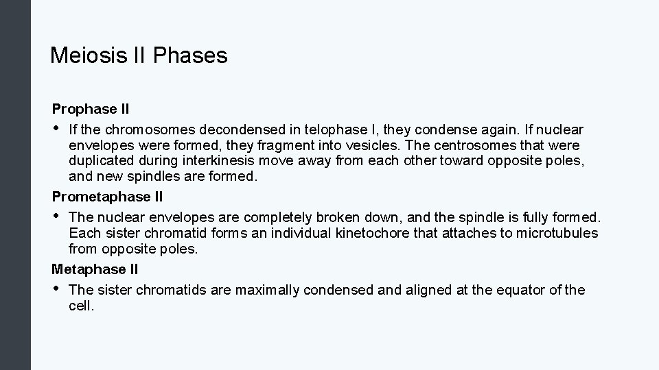 Meiosis II Phases Prophase II • If the chromosomes decondensed in telophase I, they