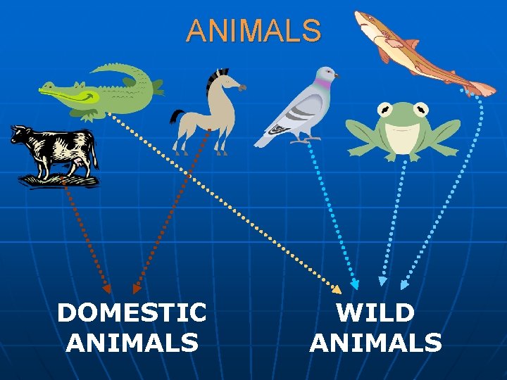 ANIMALS DOMESTIC ANIMALS WILD ANIMALS 