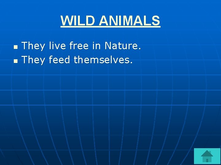 WILD ANIMALS n n They live free in Nature. They feed themselves. 