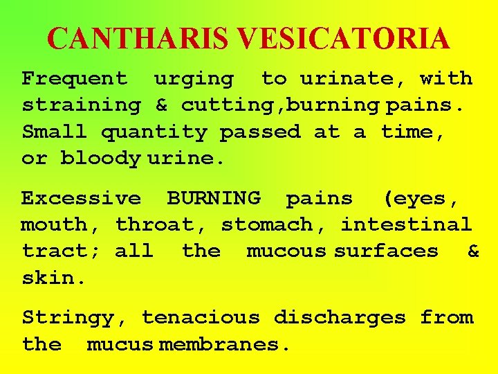 CANTHARIS VESICATORIA Frequent urging to urinate, with straining & cutting, burning pains. Small quantity