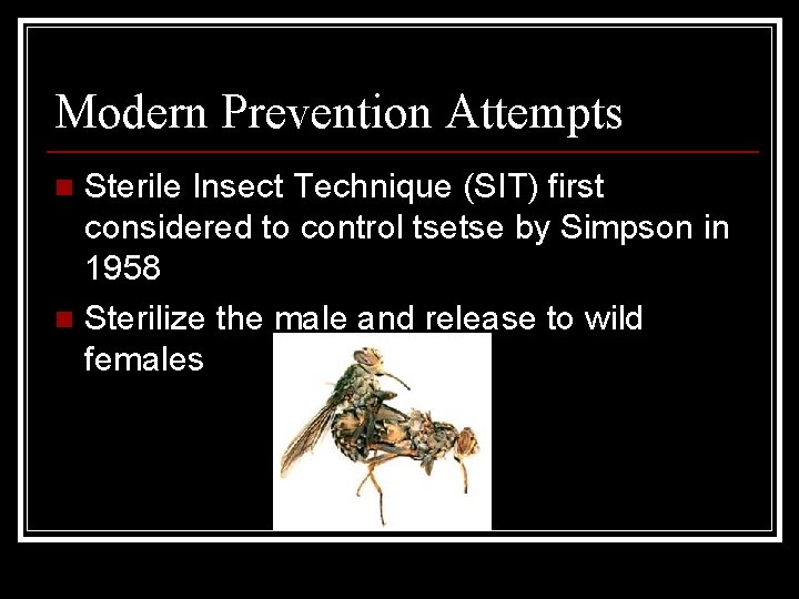 Modern Prevention Attempts Sterile Insect Technique (SIT) first considered to control tsetse by Simpson