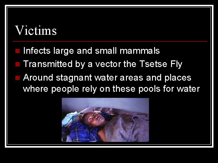 Victims Infects large and small mammals n Transmitted by a vector the Tsetse Fly