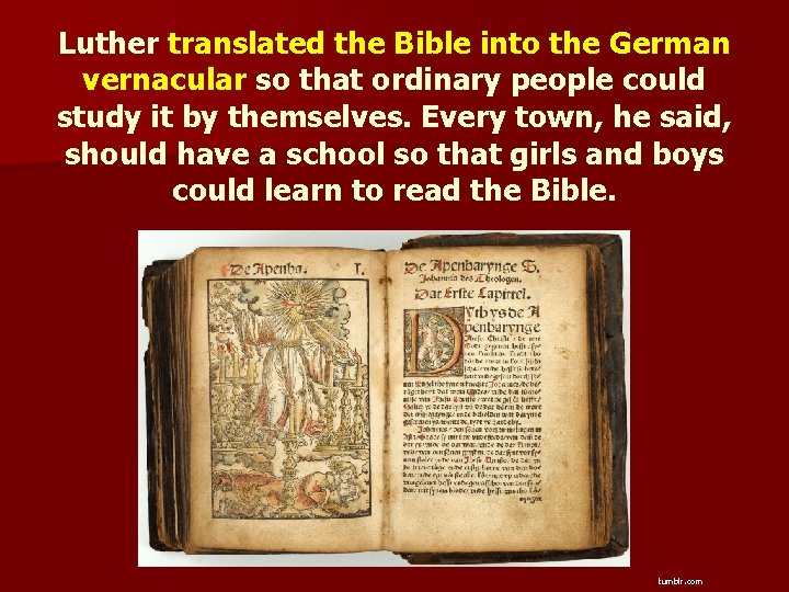 Luther translated the Bible into the German vernacular so that ordinary people could study