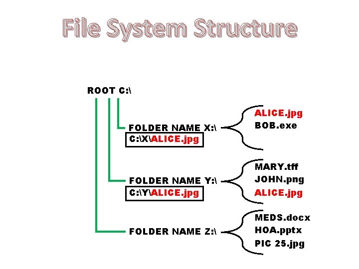 File System Structure ROOT C:  FOLDER NAME X:  C: XALICE. jpg FOLDER