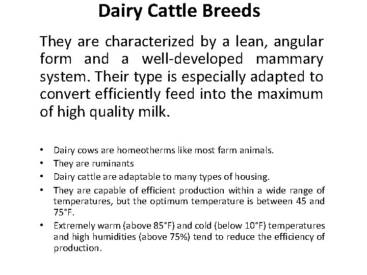 Dairy Cattle Breeds They are characterized by a lean, angular form and a well-developed