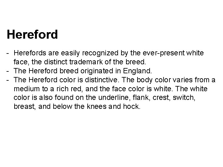 Hereford - Herefords are easily recognized by the ever-present white face, the distinct trademark Hereford - Herefords are easily recognized by the ever-present white face, the distinct trademark