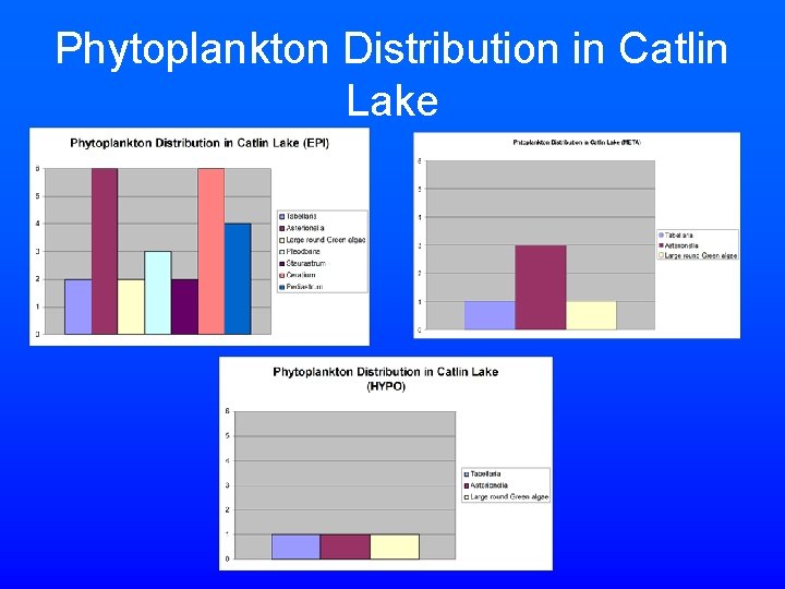 Phytoplankton Distribution in Catlin Lake 