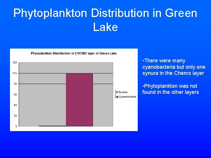 Phytoplankton Distribution in Green Lake • There were many cyanobacteria but only one synura