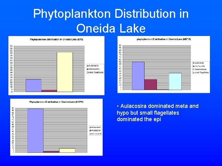 Phytoplankton Distribution in Oneida Lake • Aulacosira dominated meta and hypo but small flagellates