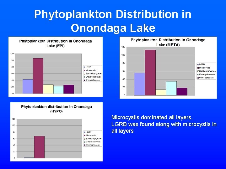 Phytoplankton Distribution in Onondaga Lake Microcystis dominated all layers. LGRB was found along with