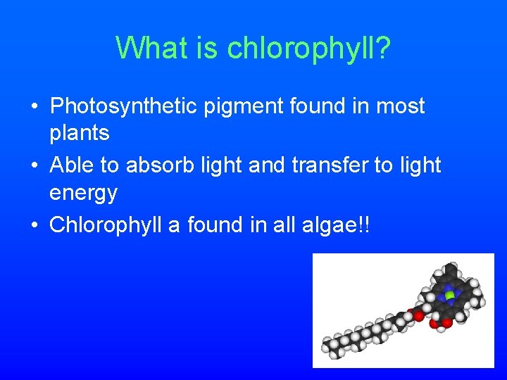 What is chlorophyll? • Photosynthetic pigment found in most plants • Able to absorb