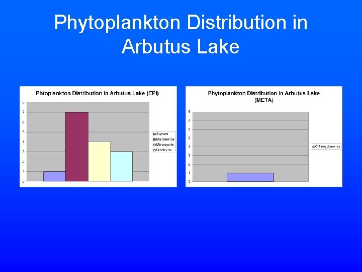 Phytoplankton Distribution in Arbutus Lake 