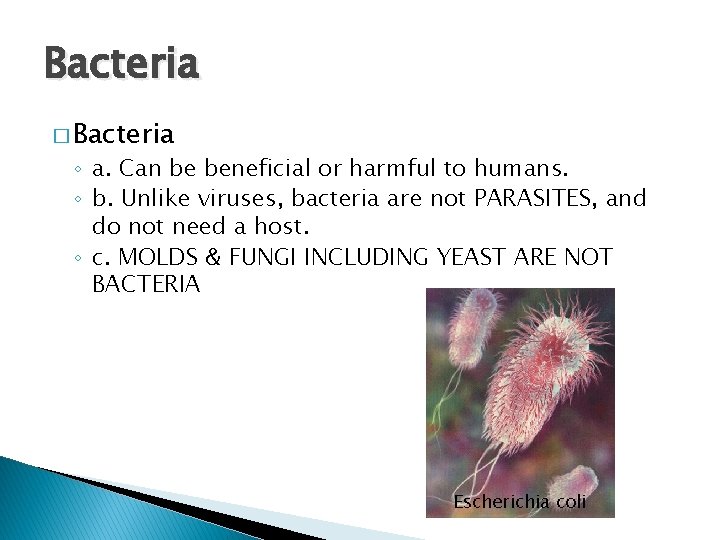 Bacteria � Bacteria ◦ a. Can be beneficial or harmful to humans. ◦ b.