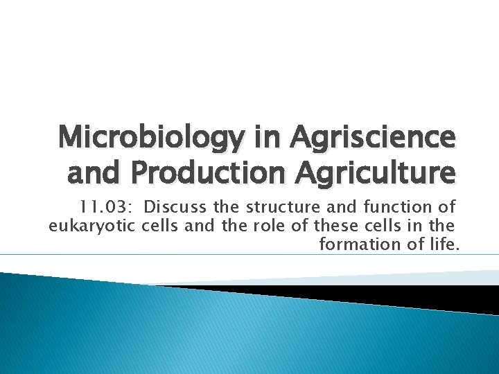 Microbiology in Agriscience and Production Agriculture 11. 03: Discuss the structure and function of Microbiology in Agriscience and Production Agriculture 11. 03: Discuss the structure and function of
