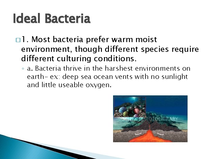 Ideal Bacteria � 1. Most bacteria prefer warm moist environment, though different species require