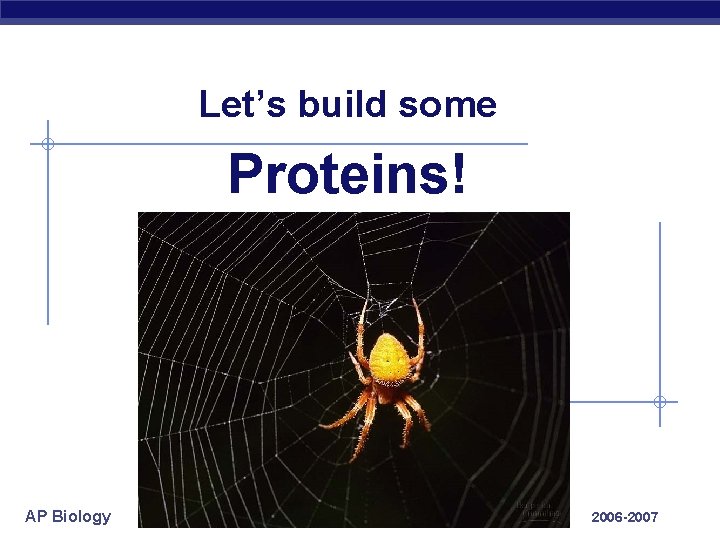 Let’s build some Proteins! AP Biology 2006 -2007 