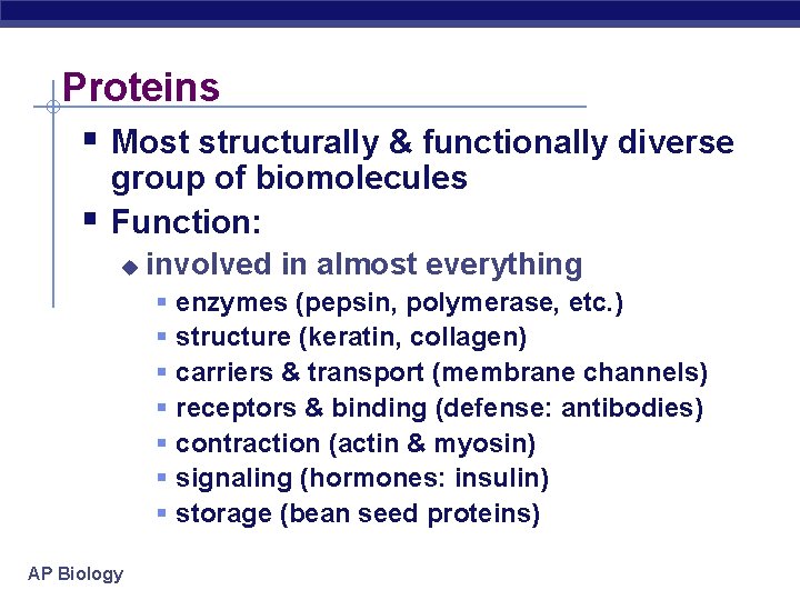 Proteins Most structurally & functionally diverse group of biomolecules Function: involved in almost everything