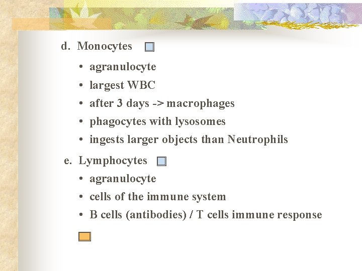 d. Monocytes • • • agranulocyte largest WBC after 3 days -> macrophages phagocytes