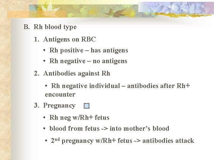 B. Rh blood type 1. Antigens on RBC • Rh positive – has antigens