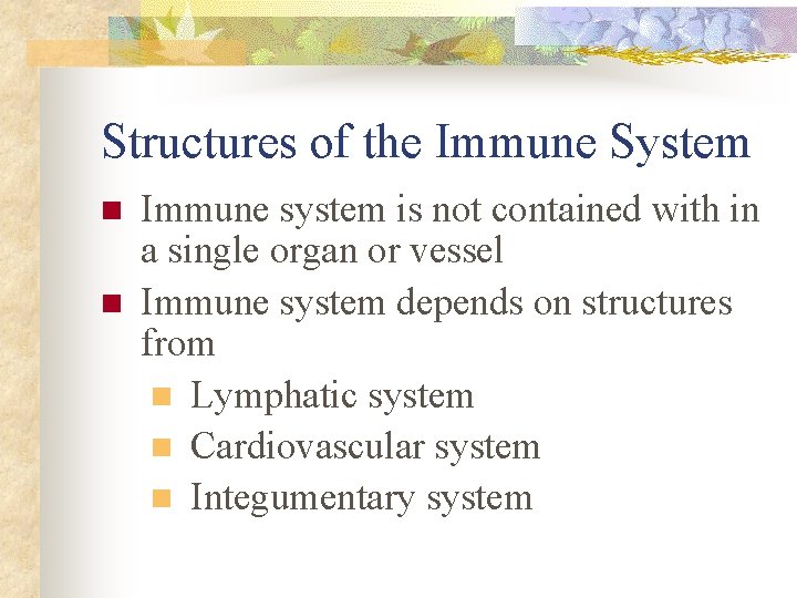 Structures of the Immune System n n Immune system is not contained with in