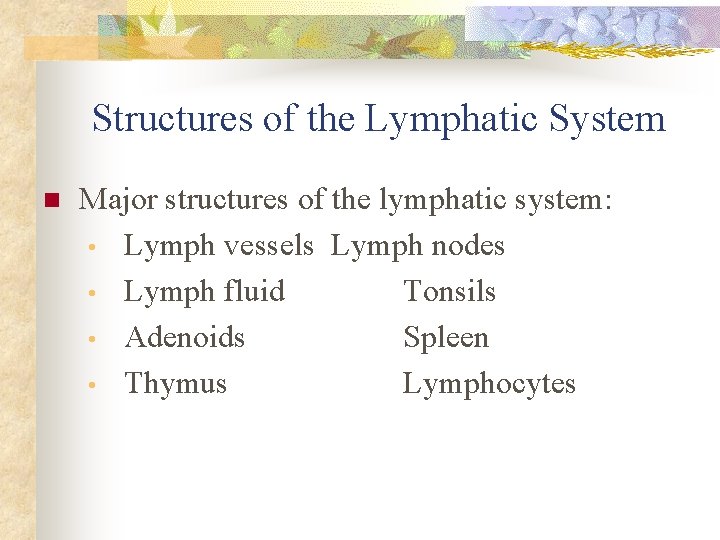 Structures of the Lymphatic System n Major structures of the lymphatic system: • Lymph