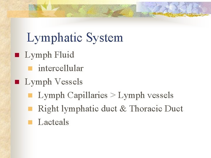 Lymphatic System n n Lymph Fluid n intercellular Lymph Vessels n Lymph Capillaries >
