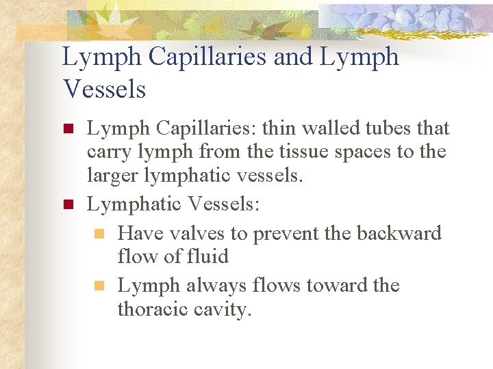 Lymph Capillaries and Lymph Vessels n n Lymph Capillaries: thin walled tubes that carry