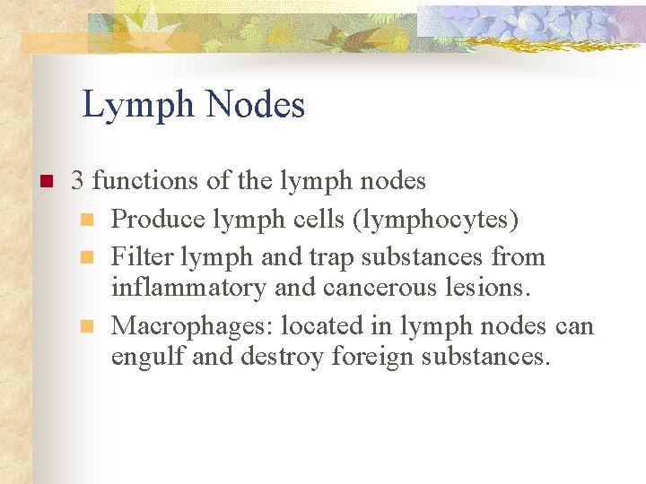 Lymph Nodes n 3 functions of the lymph nodes n Produce lymph cells (lymphocytes)