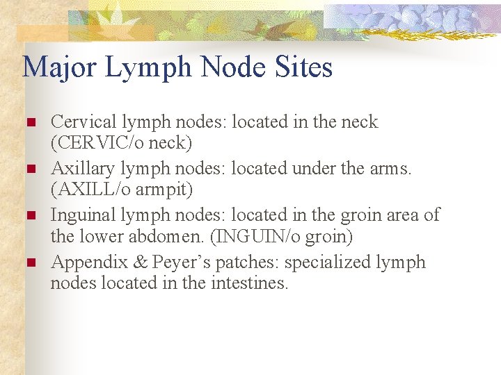 Major Lymph Node Sites n n Cervical lymph nodes: located in the neck (CERVIC/o