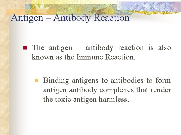 Antigen – Antibody Reaction n The antigen – antibody reaction is also known as