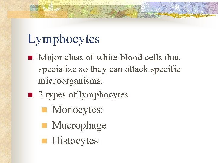 Lymphocytes n n Major class of white blood cells that specialize so they can