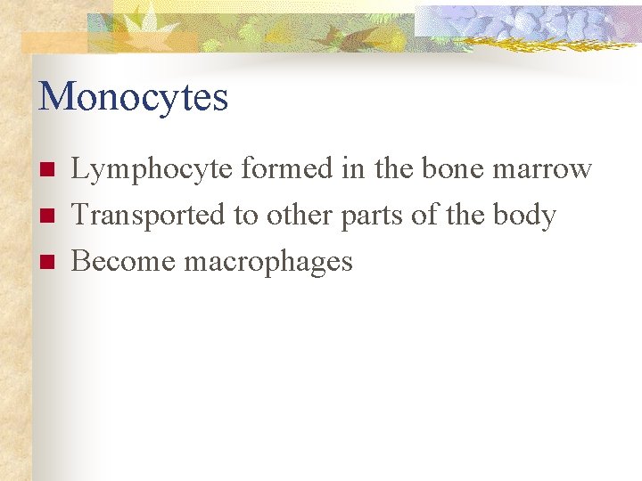 Monocytes n n n Lymphocyte formed in the bone marrow Transported to other parts