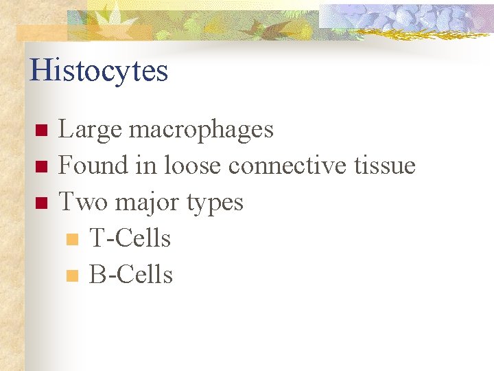 Histocytes n n n Large macrophages Found in loose connective tissue Two major types