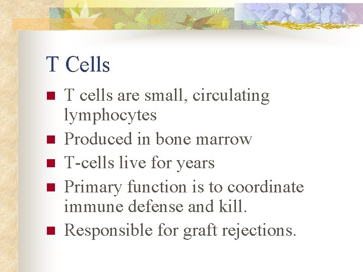 T Cells n n n T cells are small, circulating lymphocytes Produced in bone