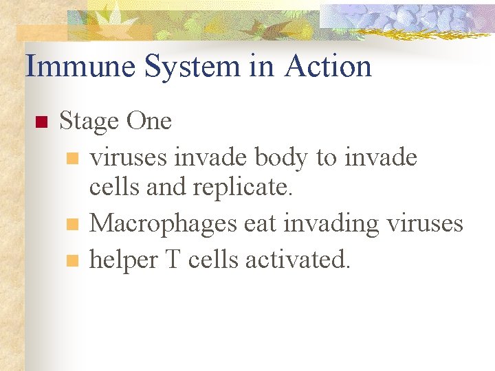 Immune System in Action n Stage One n viruses invade body to invade cells