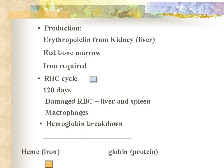  • Production: Erythropoietin from Kidney (liver) Red bone marrow Iron required • RBC