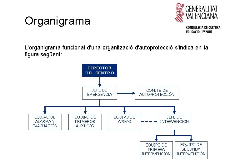 Organigrama L'organigrama funcional d'una organització d'autoprotecció s'indica en la figura següent: 
