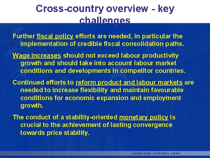 Cross-country overview - key challenges Further fiscal policy efforts are needed, in particular the