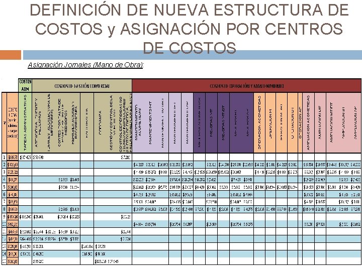 DEFINICIÓN DE NUEVA ESTRUCTURA DE COSTOS y ASIGNACIÓN POR CENTROS DE COSTOS Asignación Jornales