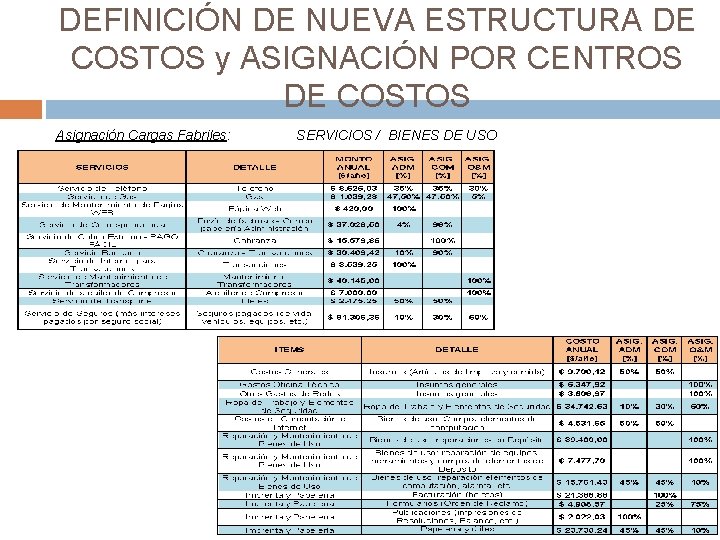 DEFINICIÓN DE NUEVA ESTRUCTURA DE COSTOS y ASIGNACIÓN POR CENTROS DE COSTOS Asignación Cargas