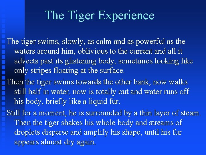The Tiger Experience The tiger swims, slowly, as calm and as powerful as the