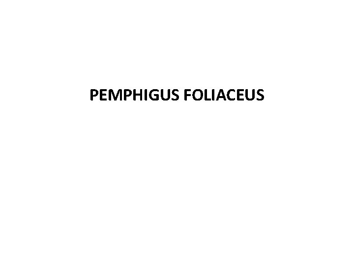 PEMPHIGUS FOLIACEUS 