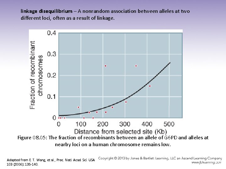 linkage disequilibrium – A nonrandom association between alleles at two different loci, often as