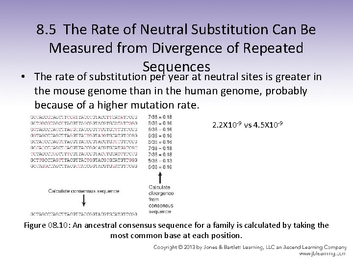 8. 5 The Rate of Neutral Substitution Can Be Measured from Divergence of Repeated