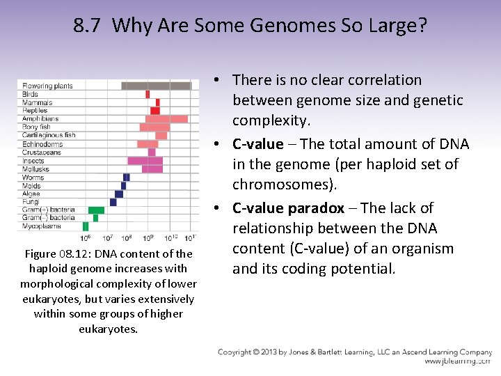 8. 7 Why Are Some Genomes So Large? Figure 08. 12: DNA content of