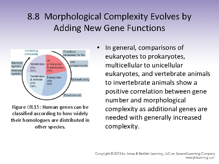 8. 8 Morphological Complexity Evolves by Adding New Gene Functions Figure 08. 15: Human