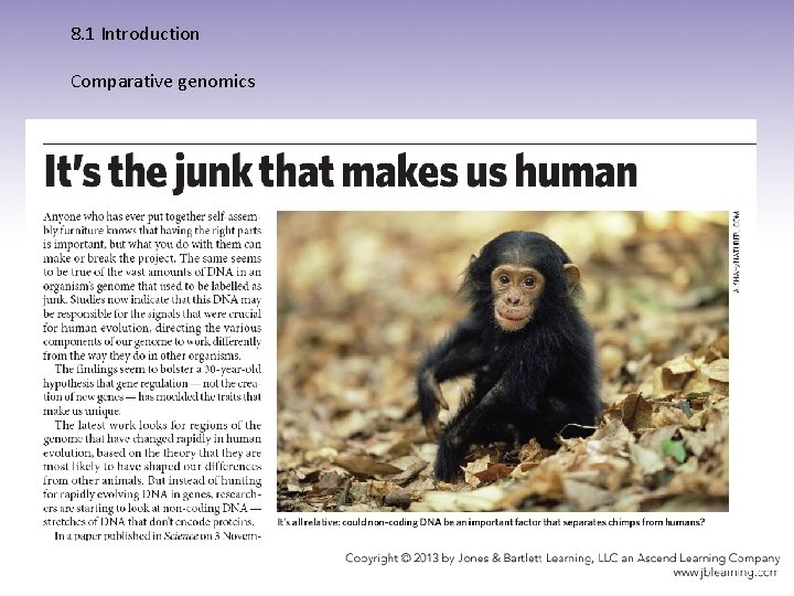 8. 1 Introduction Comparative genomics 