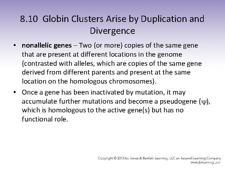 8. 10 Globin Clusters Arise by Duplication and Divergence • nonallelic genes – Two