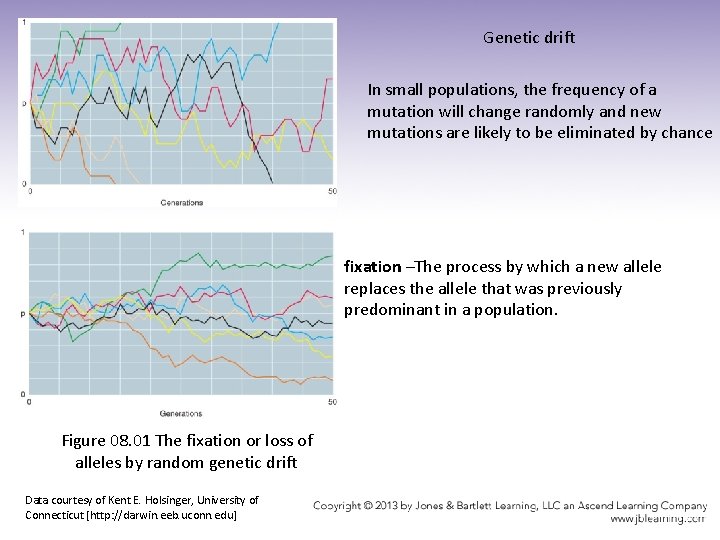 Genetic drift In small populations, the frequency of a mutation will change randomly and